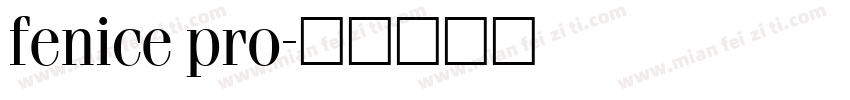 fenice pro字体转换